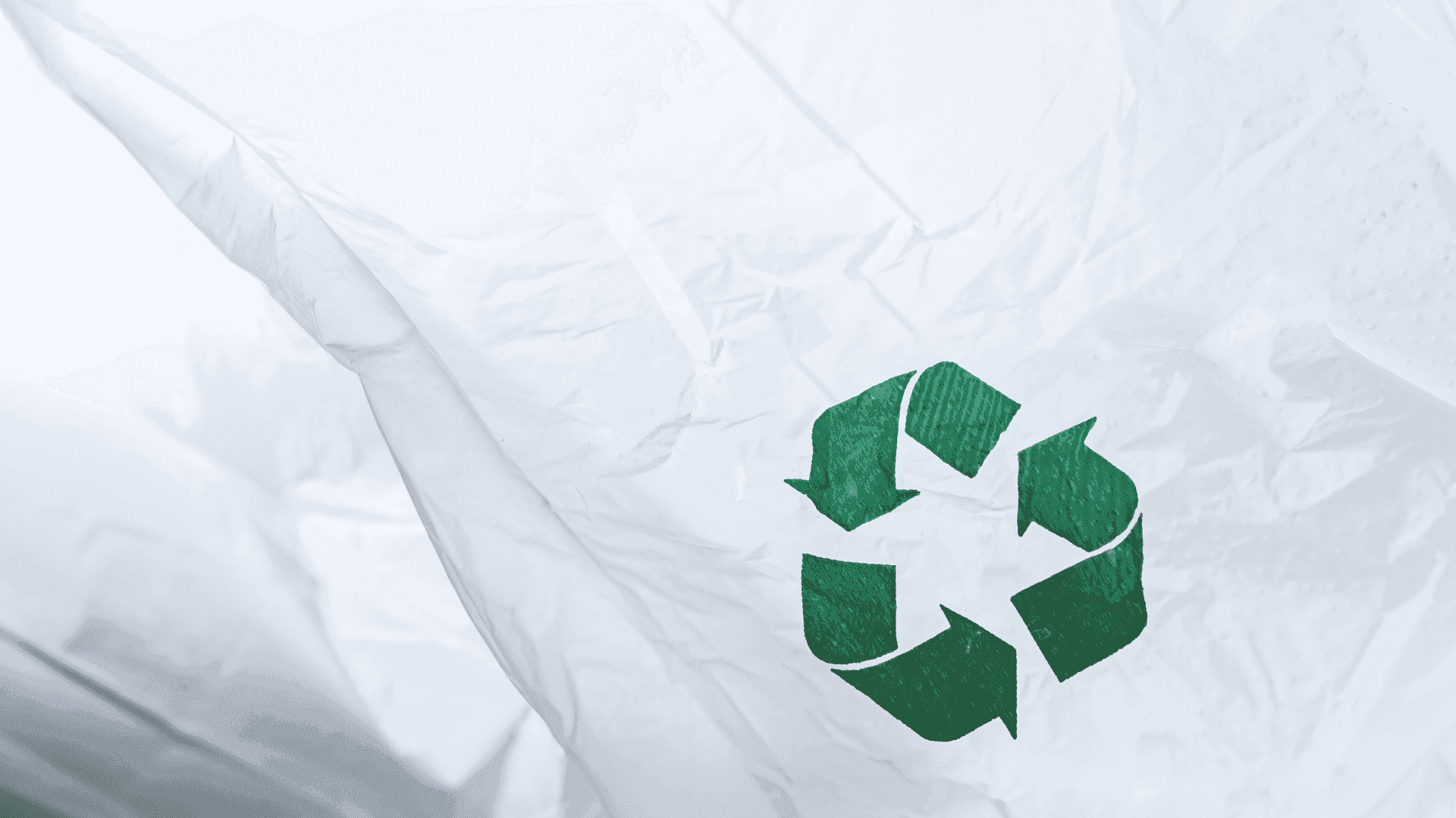 The Truth About Plastic Recycling: Challenges & Solutions