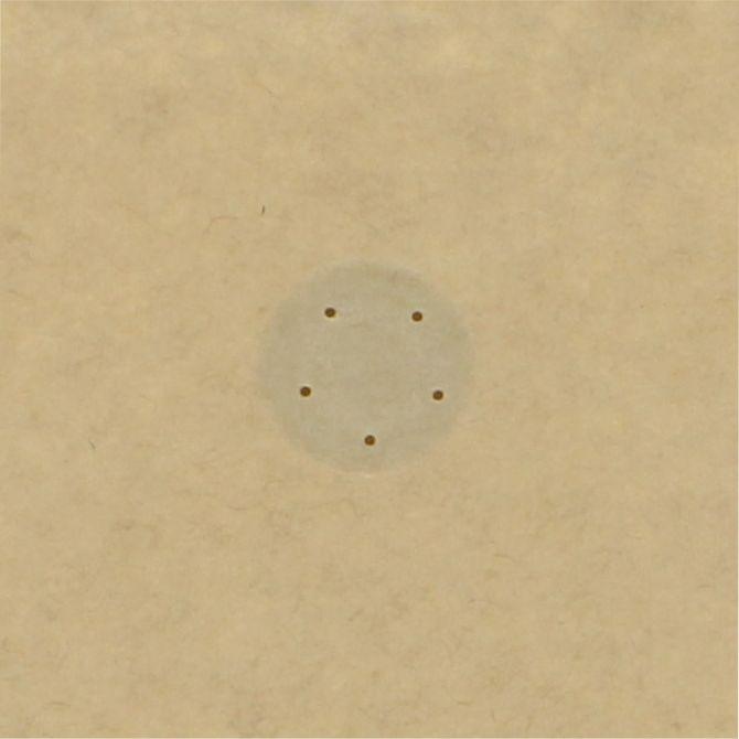 Compostable coffee pouch with valve - Image 1